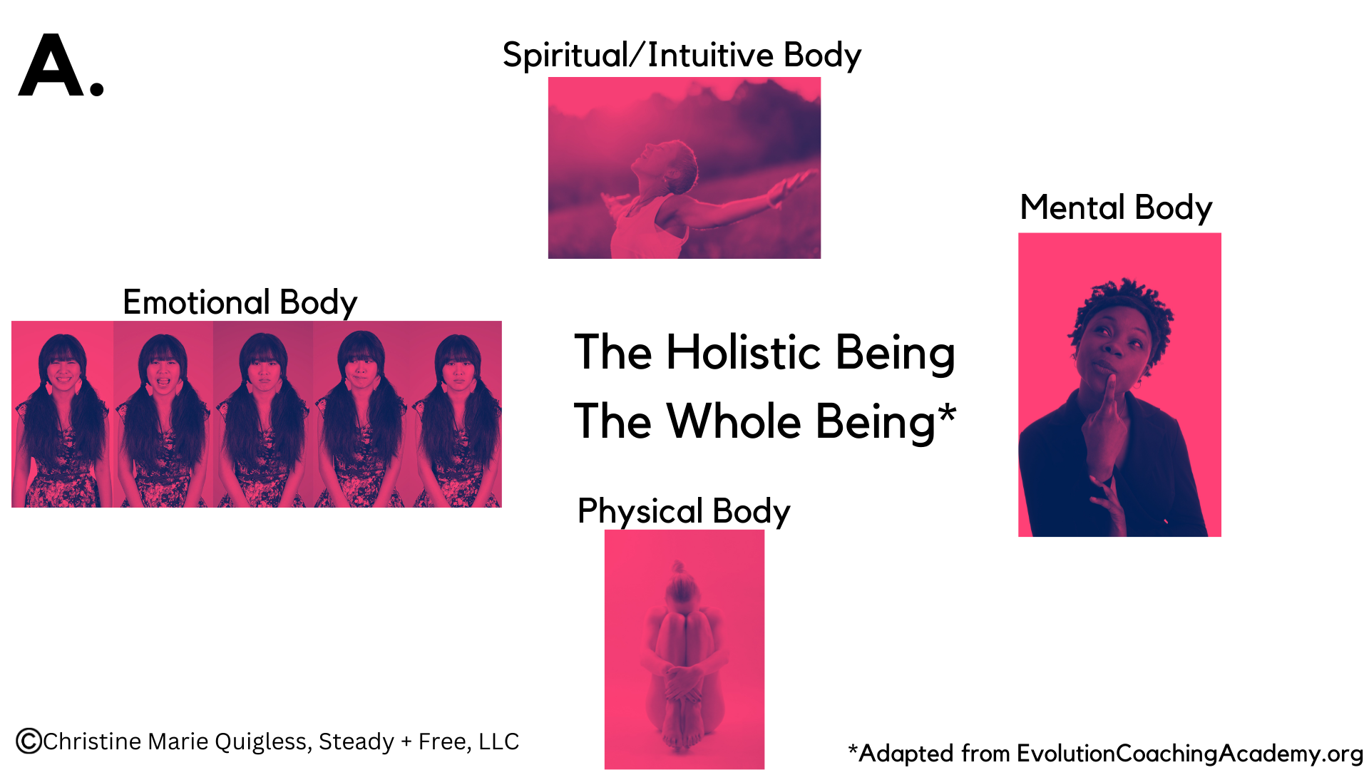 Item A. The Holistic Being