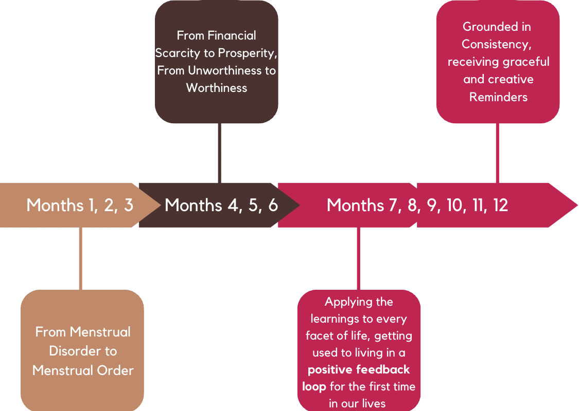 The one-year timeline that demonstrates the three phases of the Membership in the Collective, two three-month phases and one six-month phase