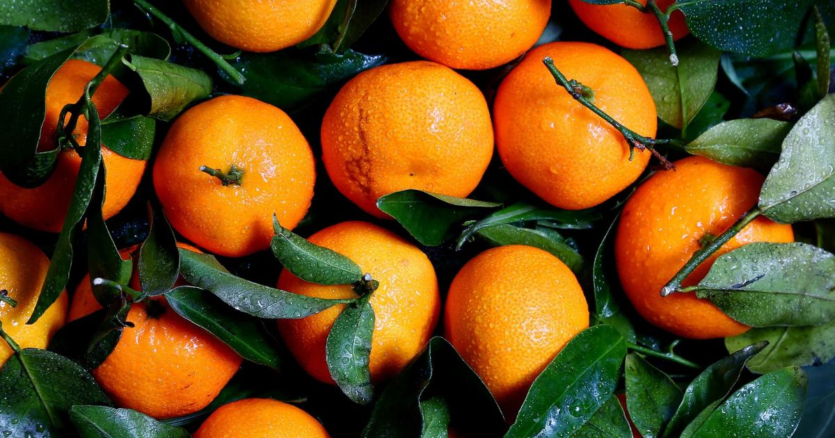 oranges-ending-pain-naturally-the-orange-for-menstrual-wellness